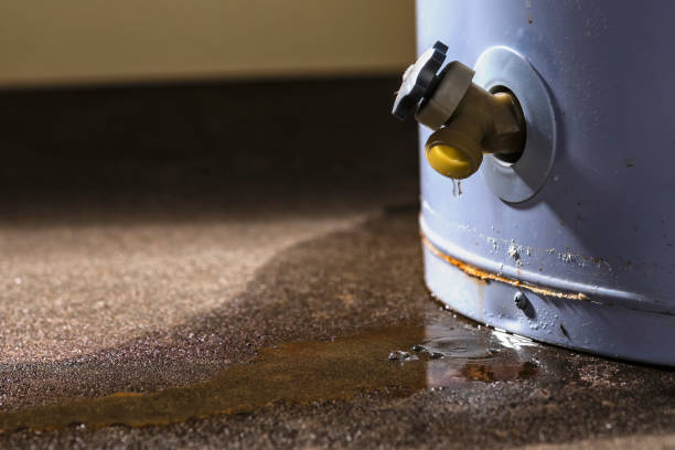 Best Water damage restoration company  in Belle Plaine, IA