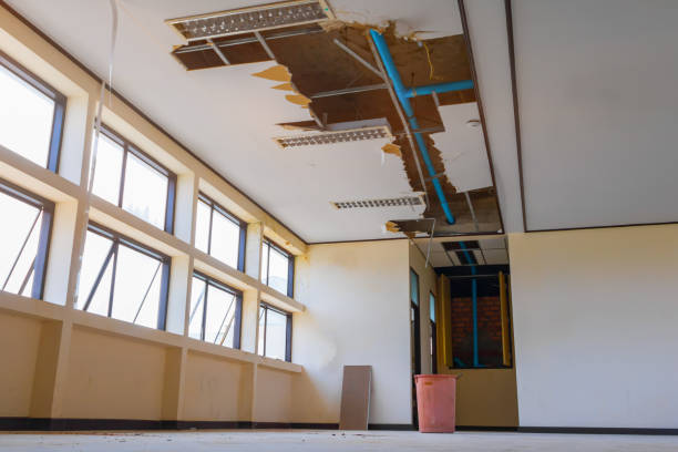 Best Mold removal after water damage  in Belle Plaine, IA