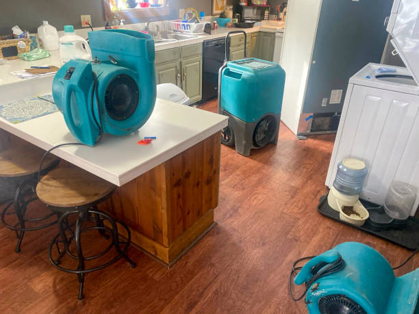 Best 24/7 water damage repair  in Belle Plaine, IA