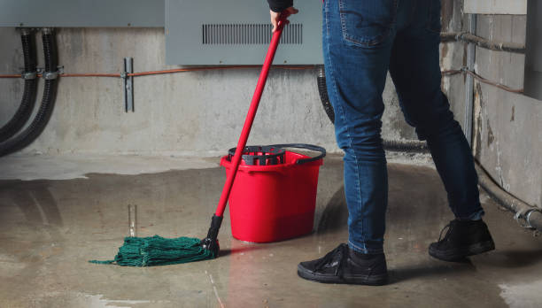Best Water damage contractors near me  in Belle Plaine, IA
