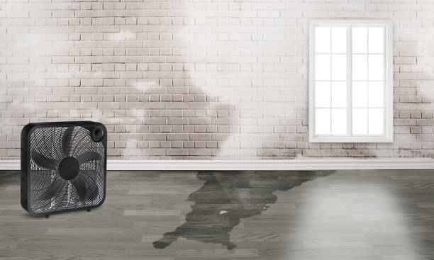 Best Emergency water damage restoration  in Belle Plaine, IA