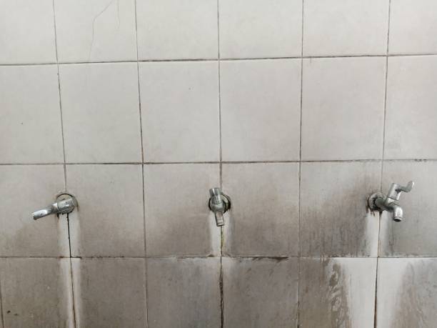 Best Carpet water damage restoration  in Belle Plaine, IA