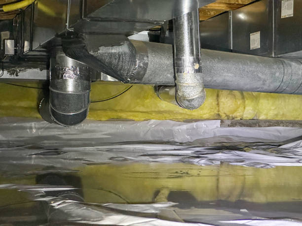 Best Water damage cleanup near me  in Belle Plaine, IA