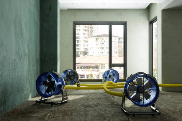 Best Water damage restoration process  in Belle Plaine, IA